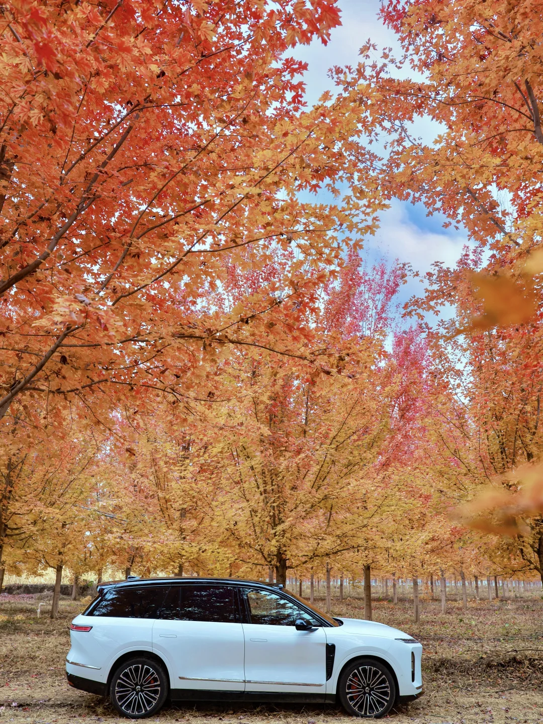 10.30实拍!北京深藏不露的红枫秘境美到失语