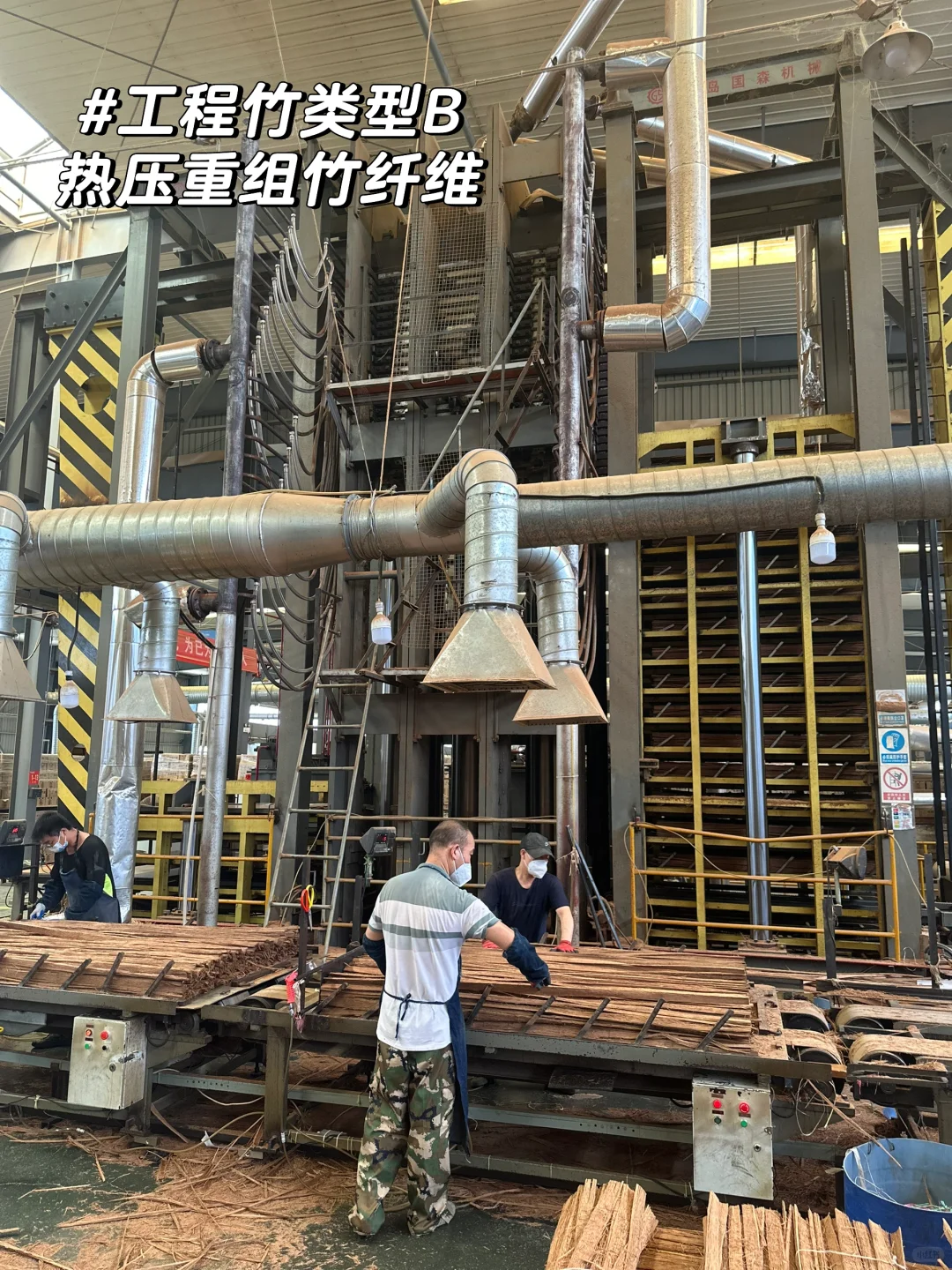 竹子的前世今生