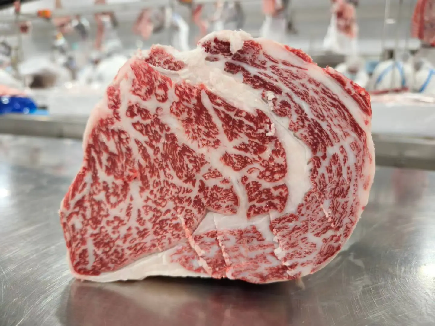 公司深入观看了1265石斧纯血和牛生产线