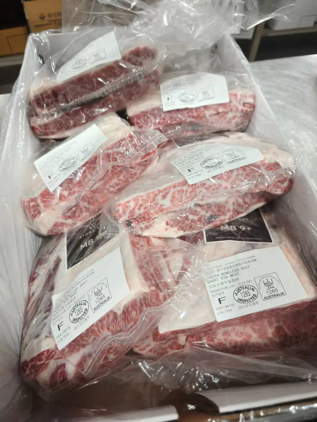 公司深入观看了1265石斧纯血和牛生产线