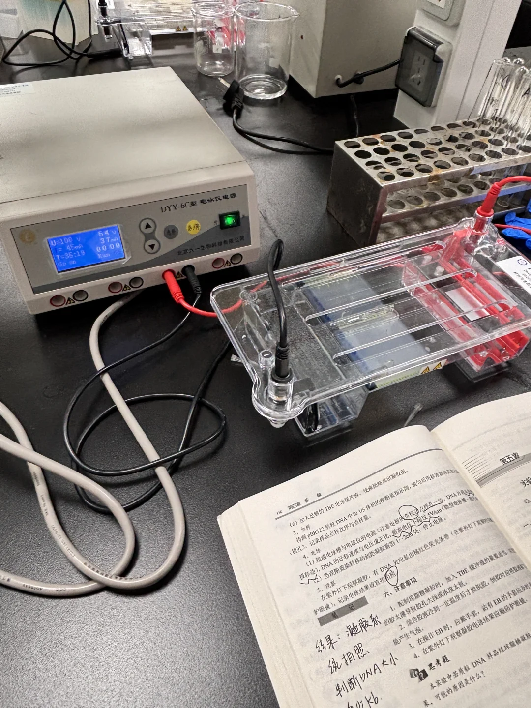 ?中山电科大 食安实验课