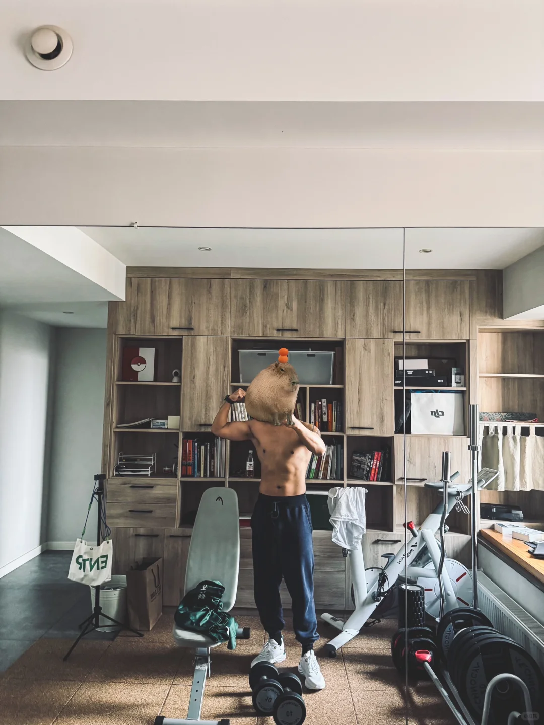 31岁独居|不到5k,8平米书房改家庭健身房