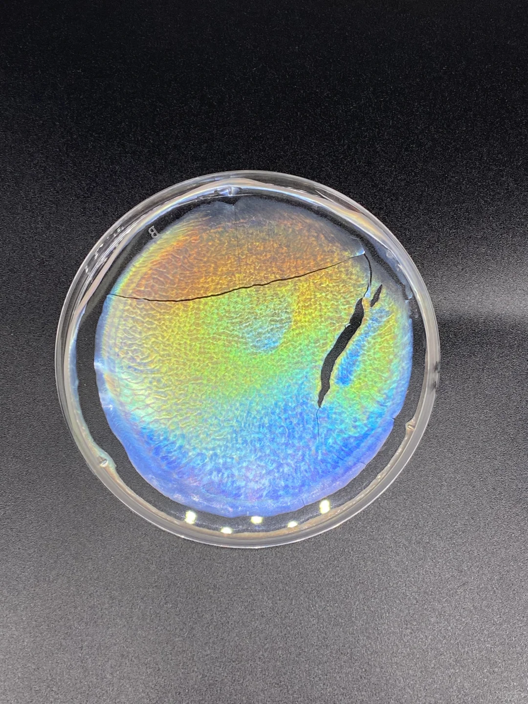 ?我用纳米纤维素做出一张“会变色的膜”