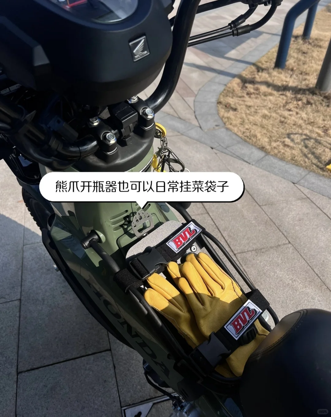 让我看看你们幼兽都改装了啥