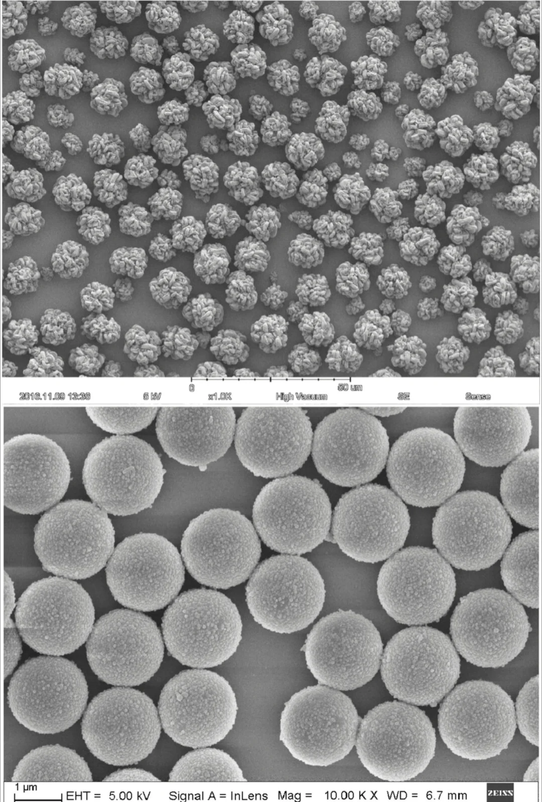 扫描电镜的日常操作流程一般包括以下步骤