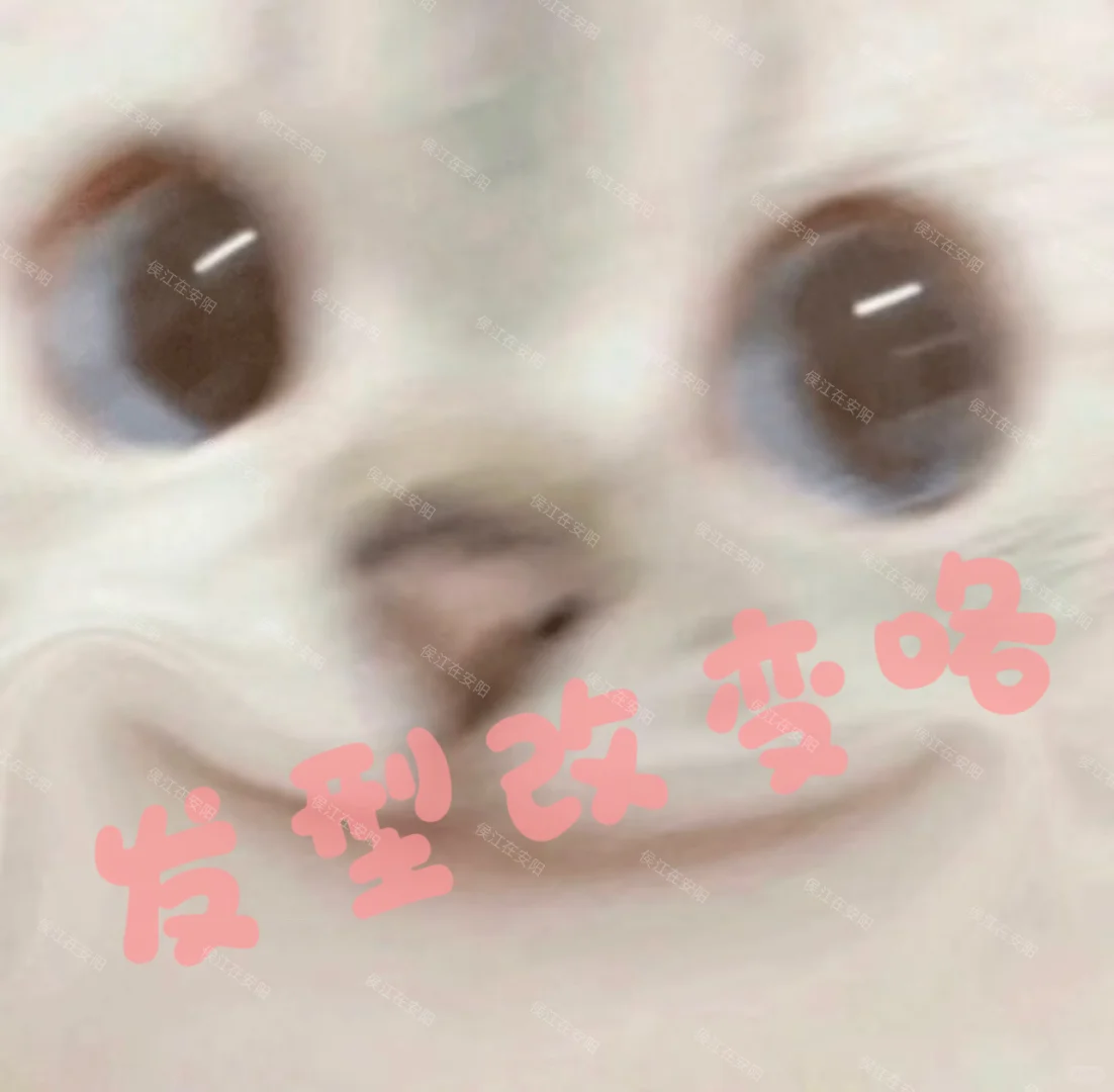 堵上职业生涯心心念念几年的狼尾鲻鱼头开剪