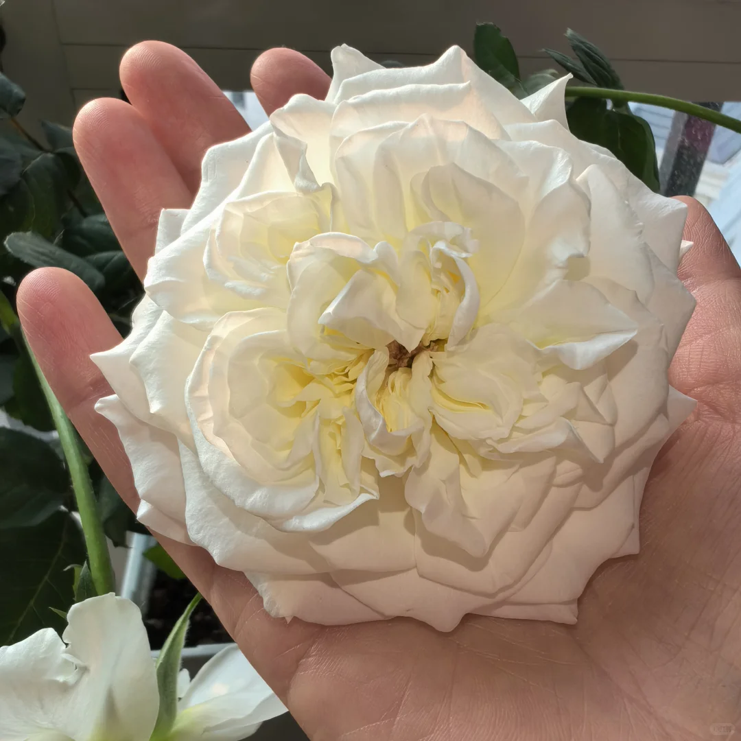 自学《中医基础理论》打卡