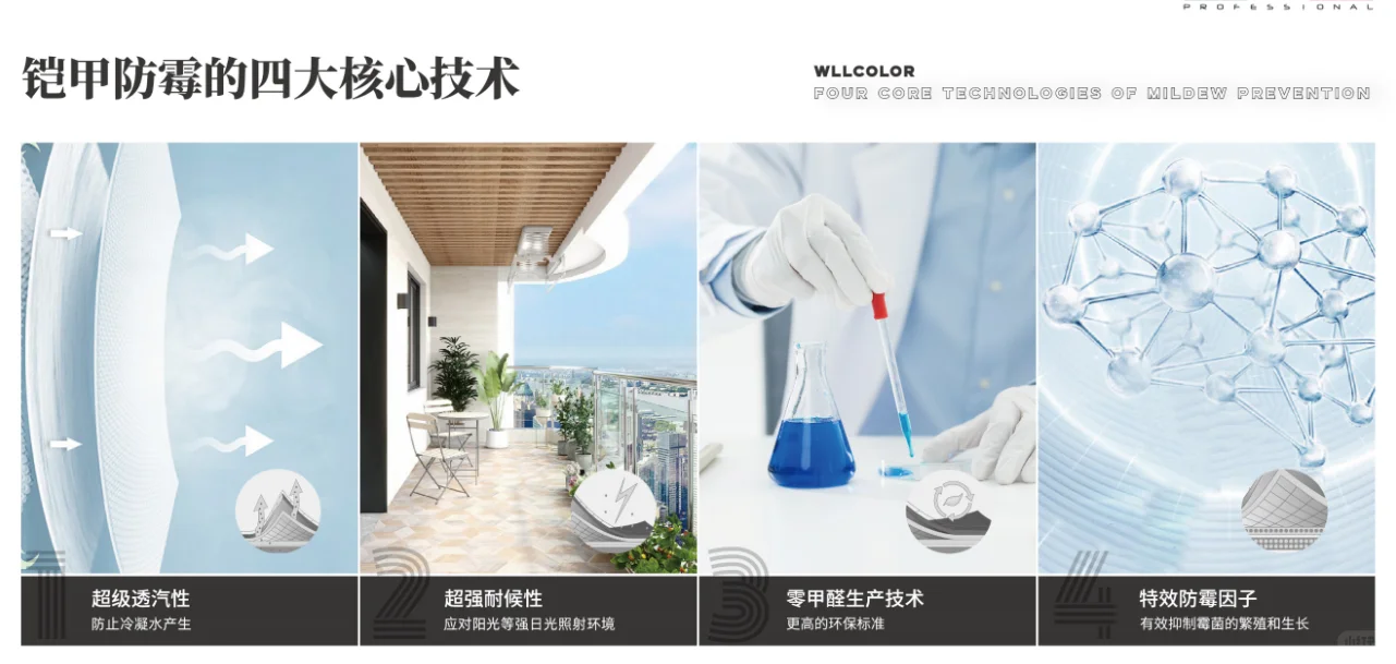 墙面“发霉”怎么办