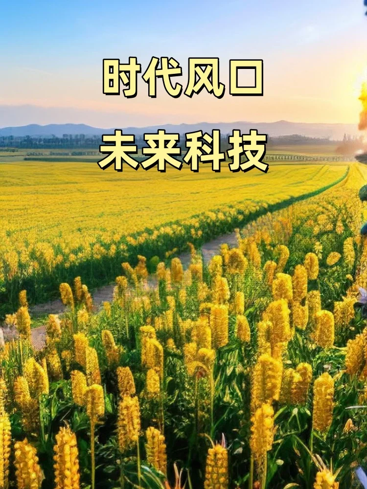 未来科技