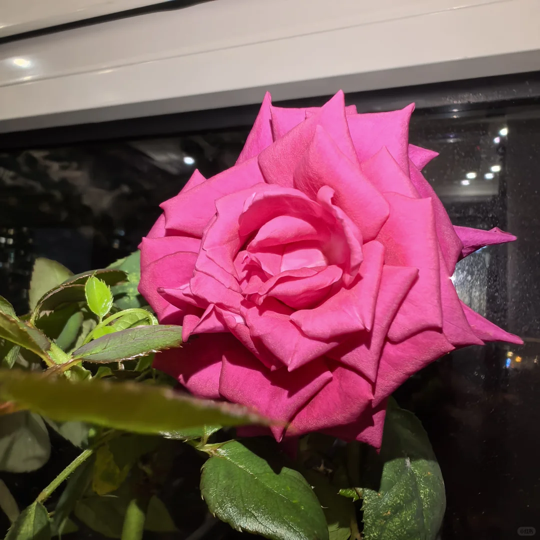 自学《中医基础理论》打卡