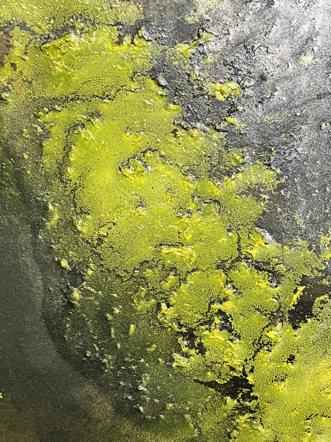 露珠与闪电：郑忠《文脉之光》的刹那澄明