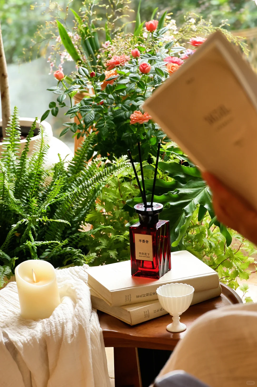 秋冬宅家,享受被阳光和绿植包裹的治愈时光