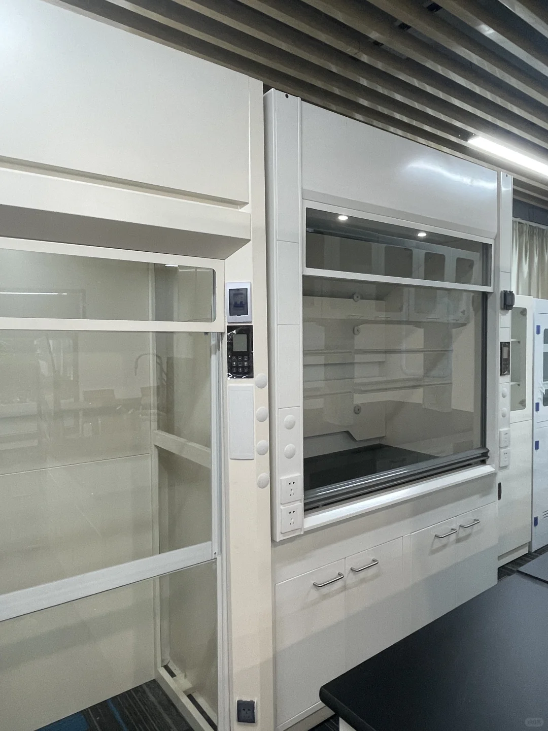 来看看这些实验室的“工作伙伴”们吧～