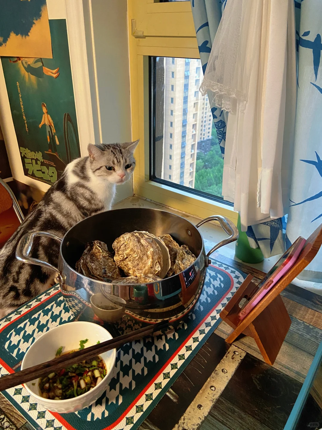 普通人家不精致但是却干干净净的房间