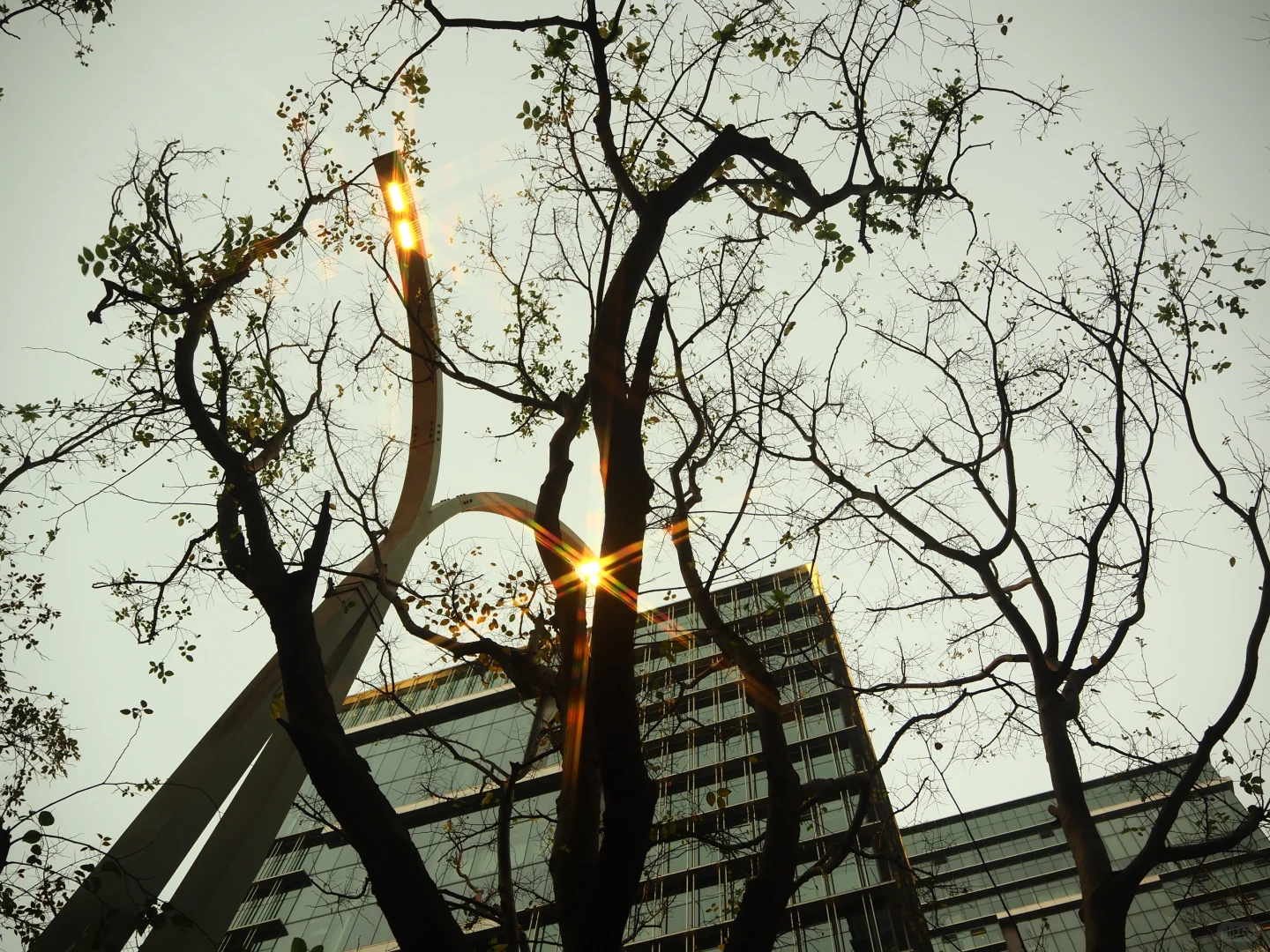 奥林巴斯拍到的电影画面