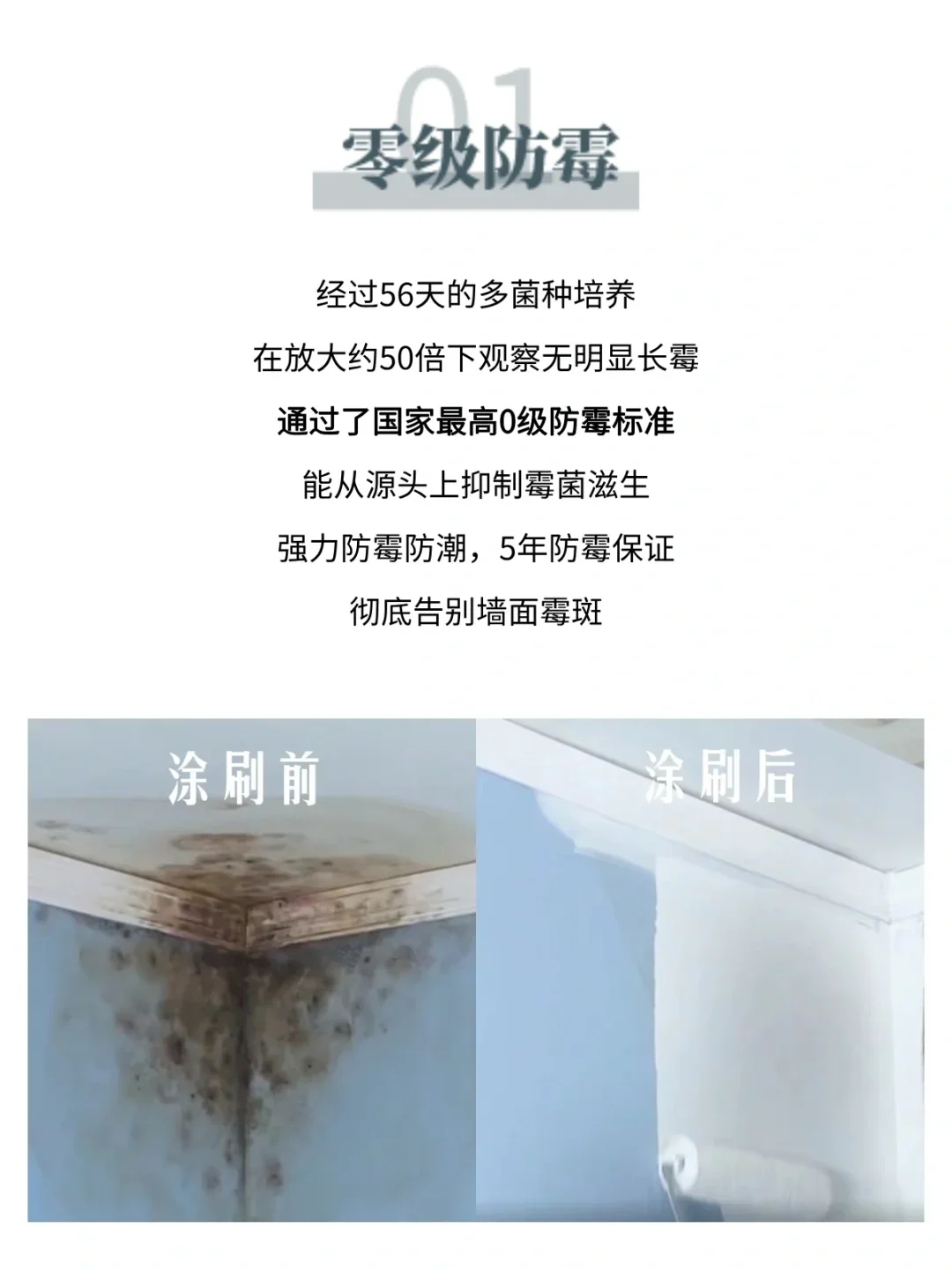 墙面涂料怎么选❓️抗菌防霉一漆搞定?