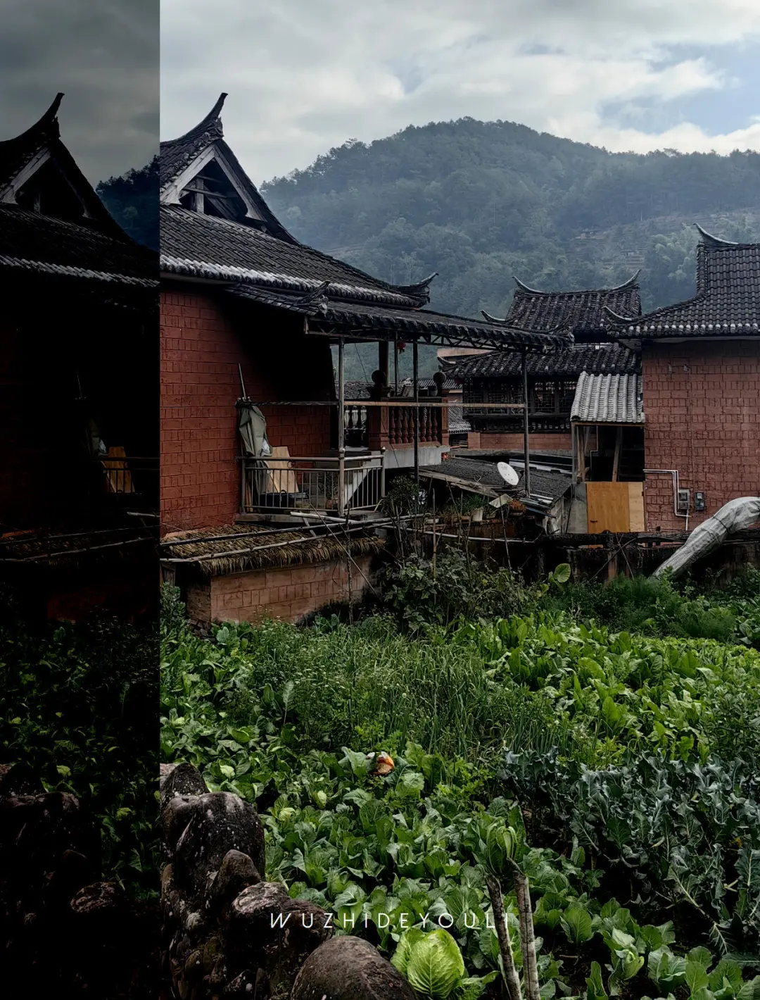 茶香漫古道时，体味那柯里戴家巷的古今对话