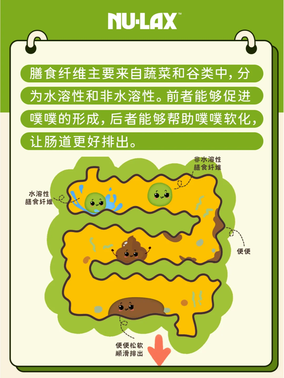 噗噗又困难了❓可能是没吃够它❗️