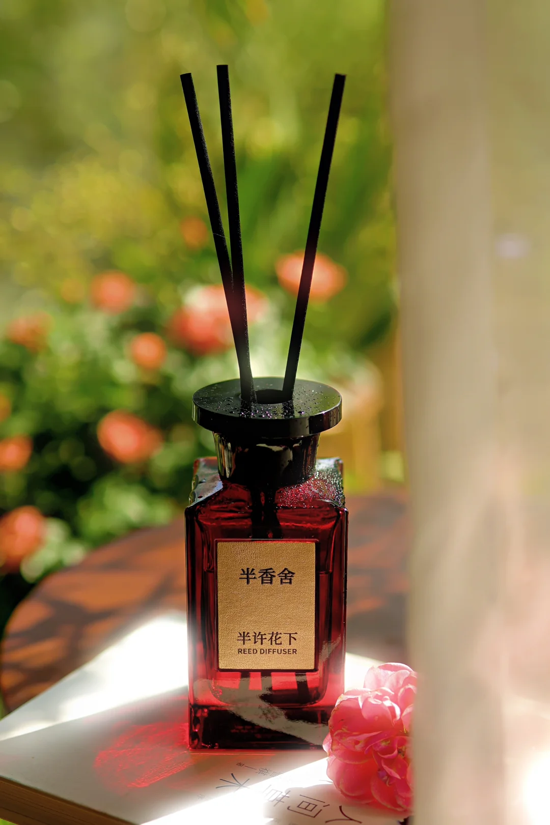 秋冬宅家,享受被阳光和绿植包裹的治愈时光