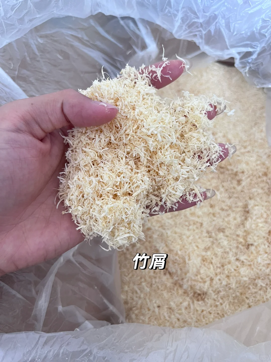 鼠鼠夏季王炸垫料！！