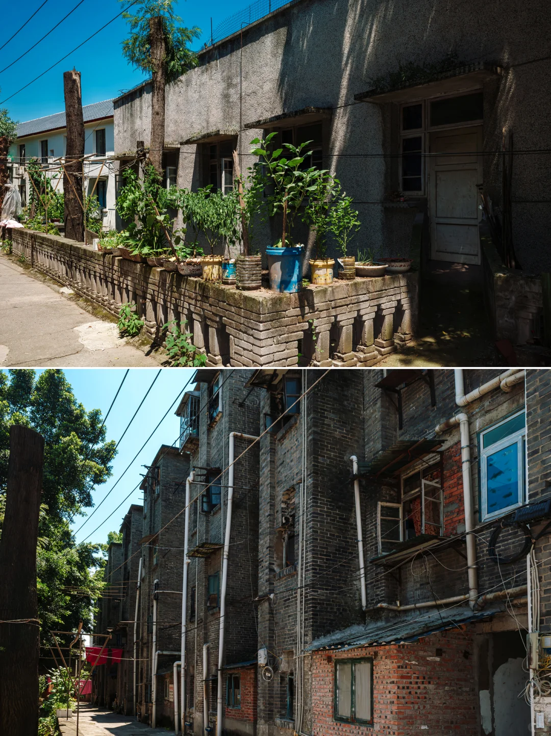 |川仪系列|川仪二厂(二)