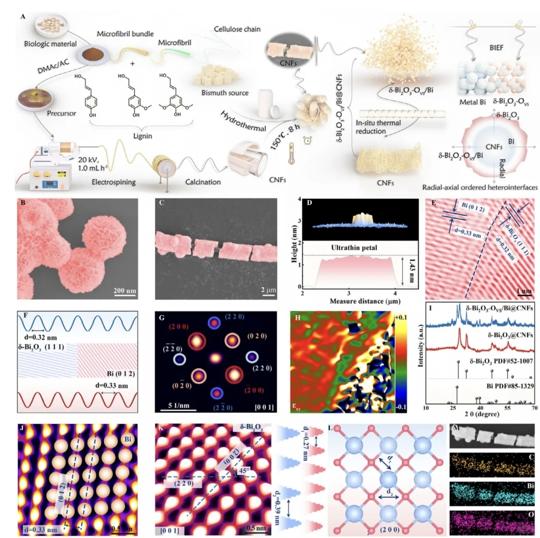 AM 铋基异相p轨道调控催化 DFT
