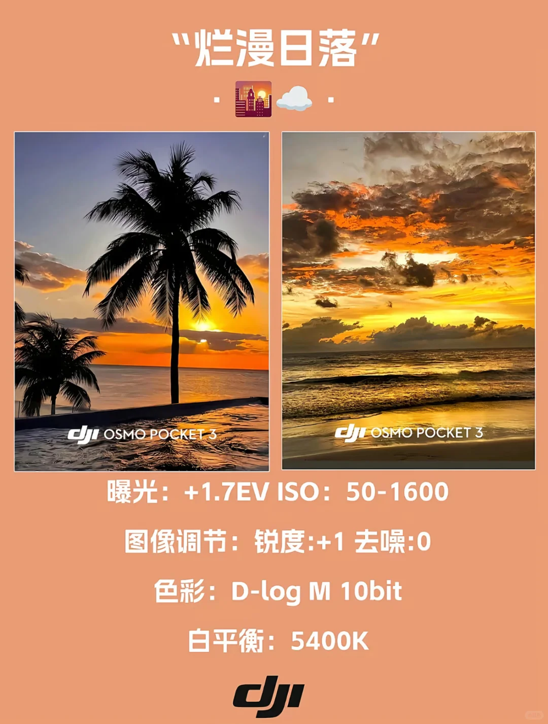 拿到大疆还不会用？来看看这里！