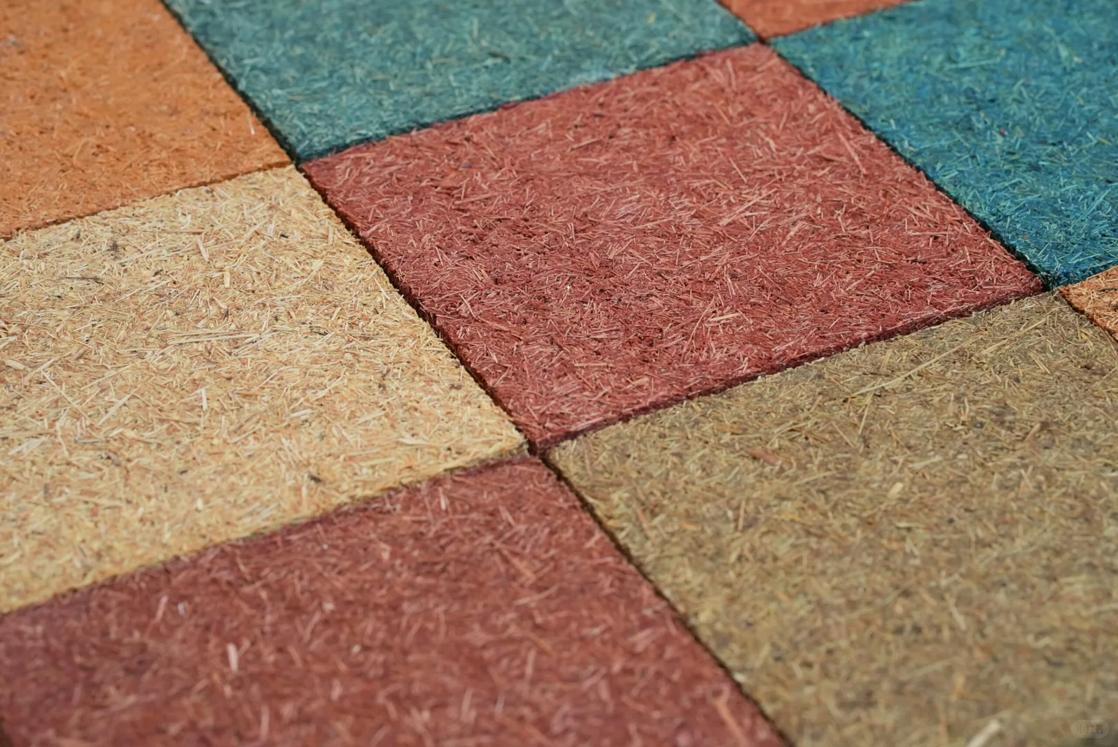 ?从甘蔗渣到新材料！