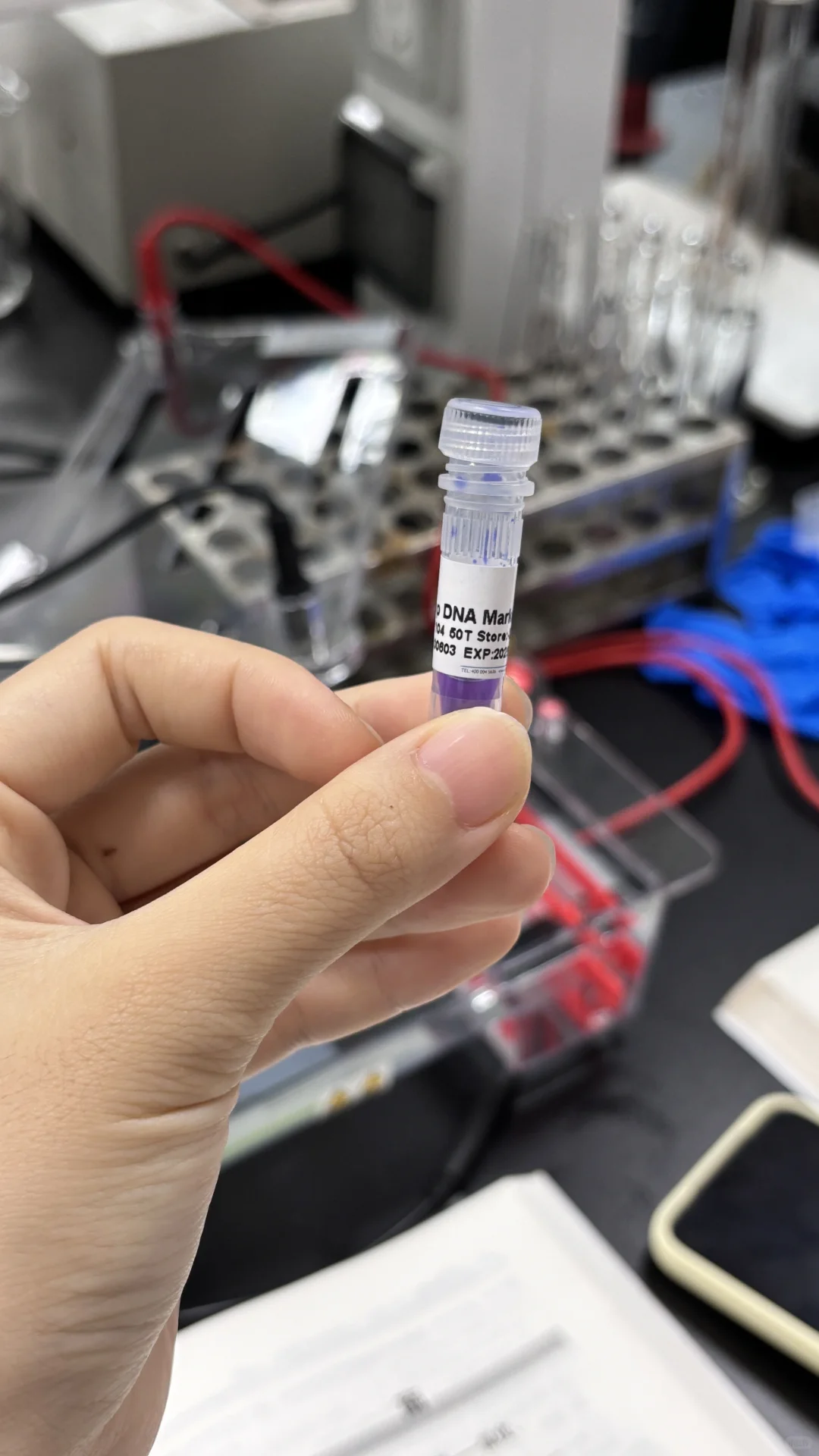 ?中山电科大 食安实验课