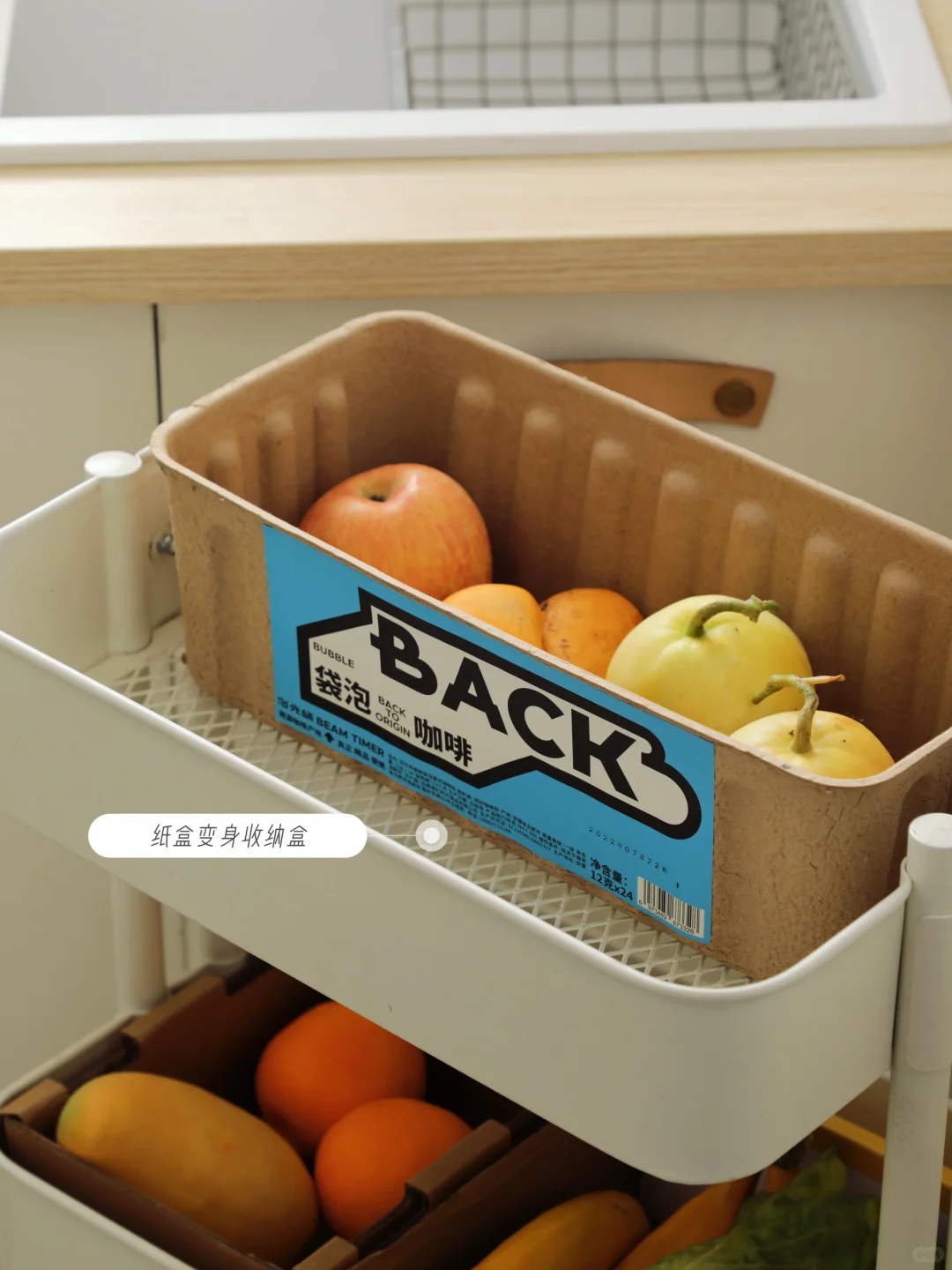 小“废”物,大作用,开启废物利用的魔法之旅