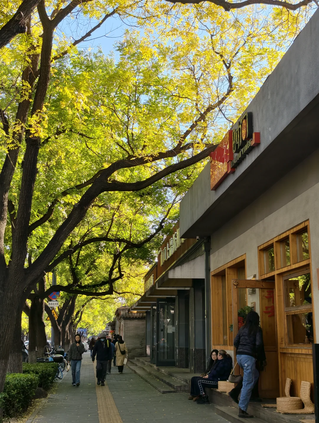 10.26实拍‼️北京5️⃣个人少落叶绝美胡同