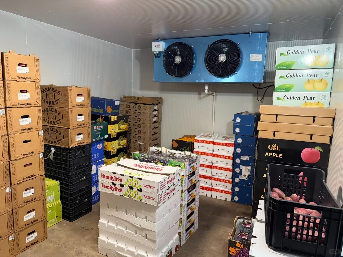 冷库检测机构、冷库电气防火检测收费