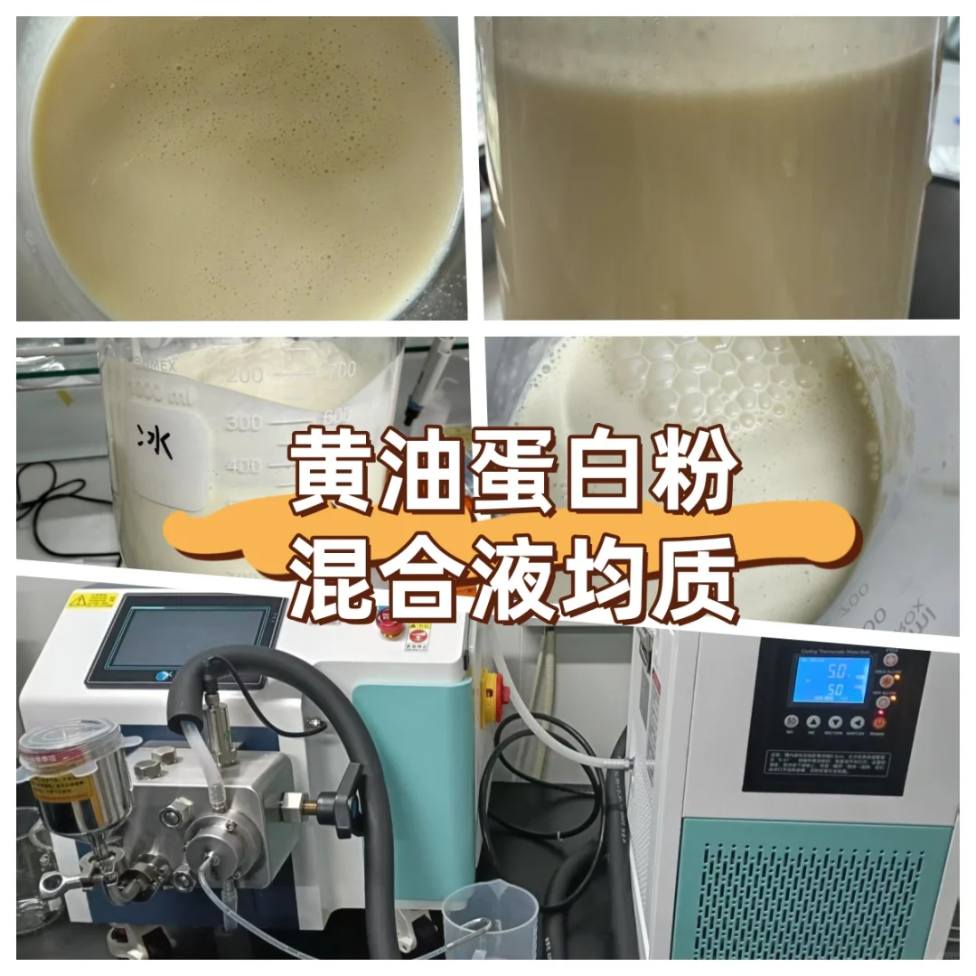 ✨高压均质机｜黄油蛋白粉混合液
