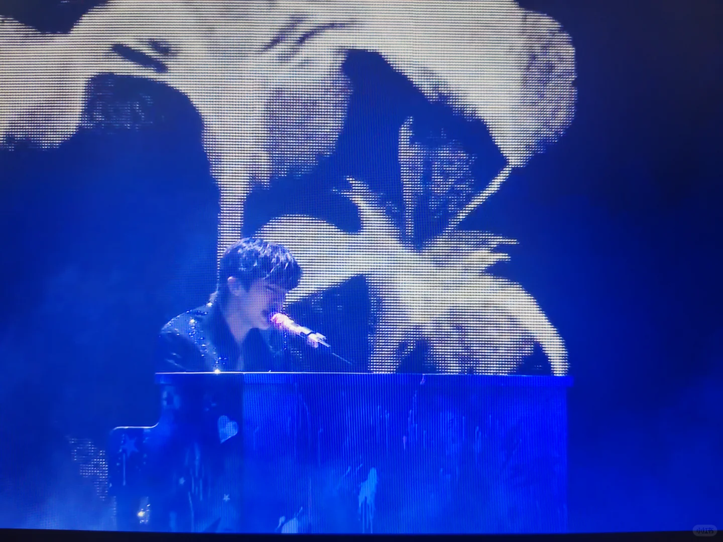 幸福是你透过摄像机望向我的眼睛