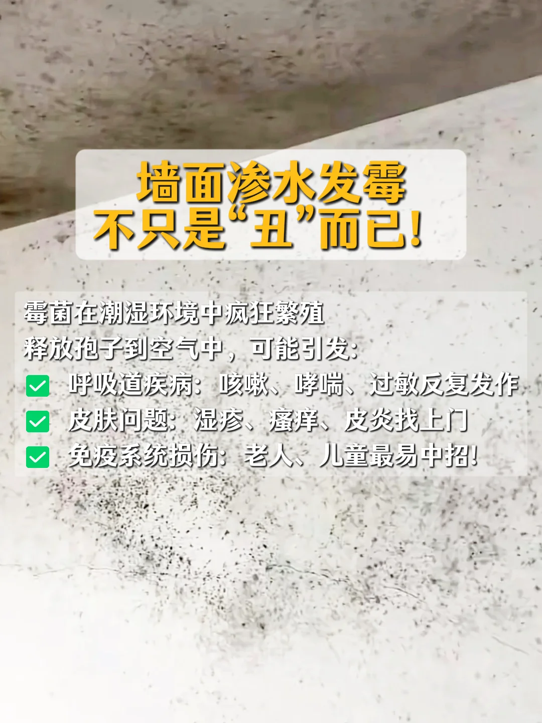 墙面渗水发霉？别让霉菌偷走健康！
