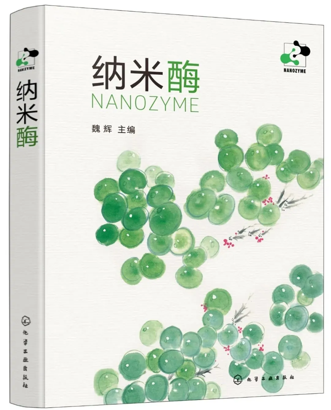 纳米酶共读之旅 | 19章·合抱之木生于毫末