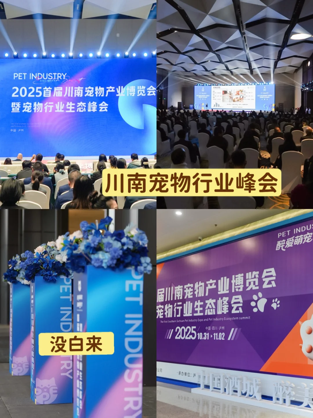 2025川南宠物行业峰会真的没白去！