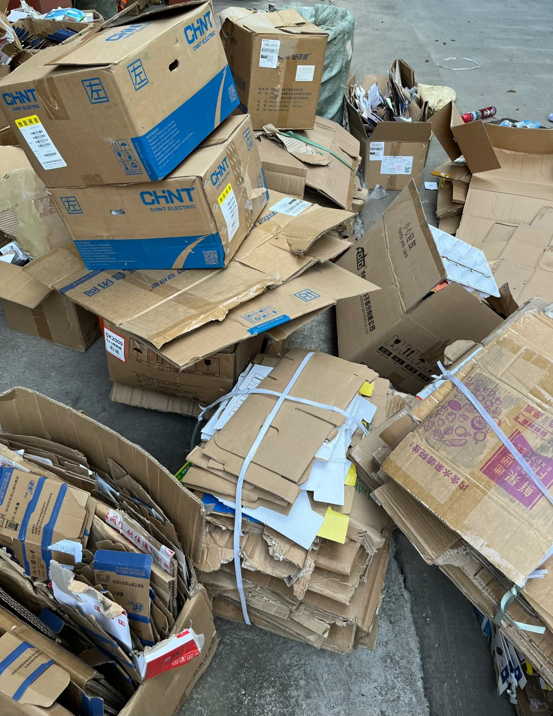 家人们你们觉得能卖多少金币？?