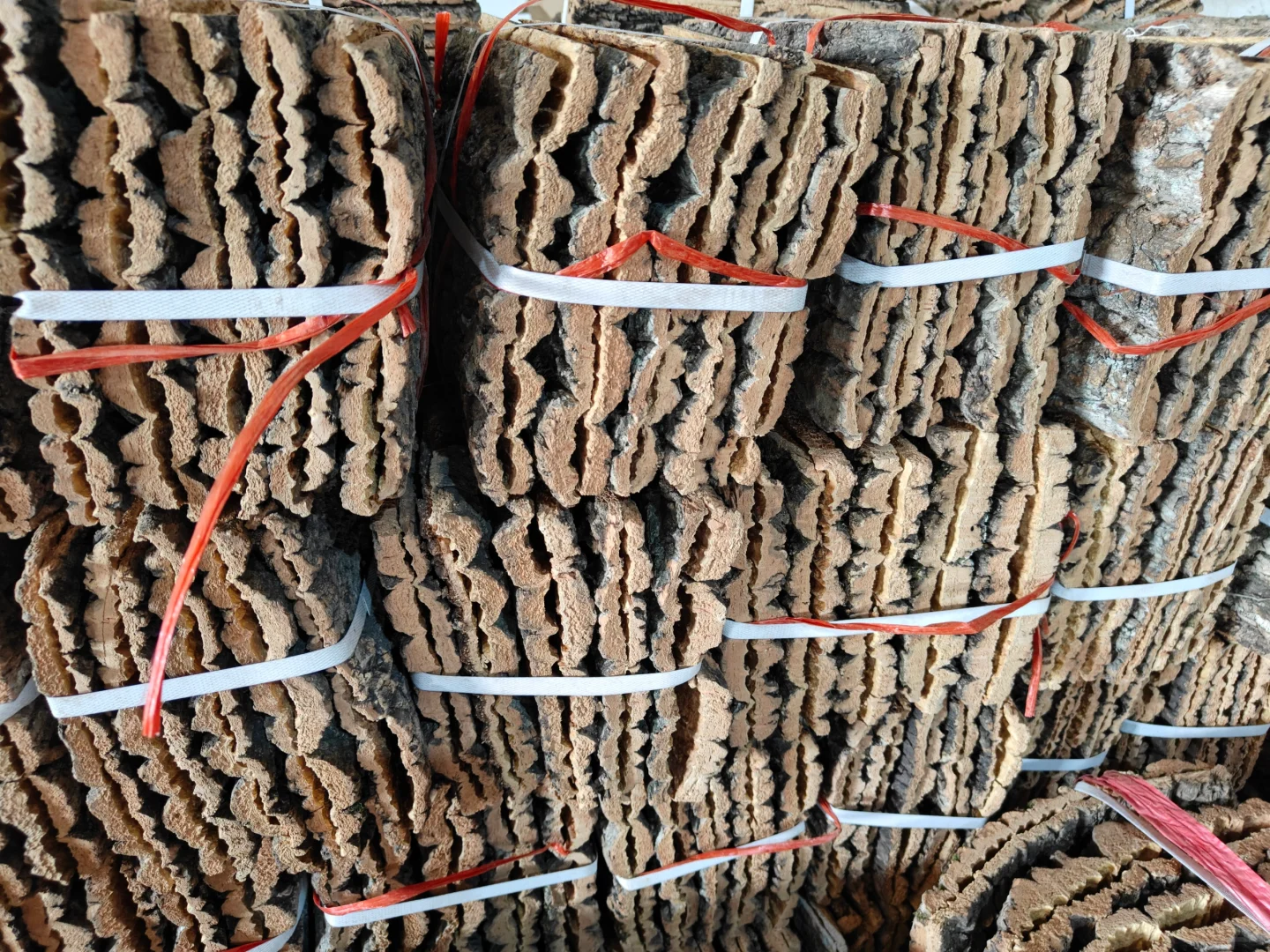 被低估了的可持续材料｜栓皮栎树皮