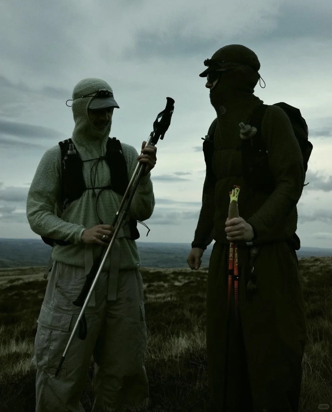 来自 Senchi Designs 的自然见解?