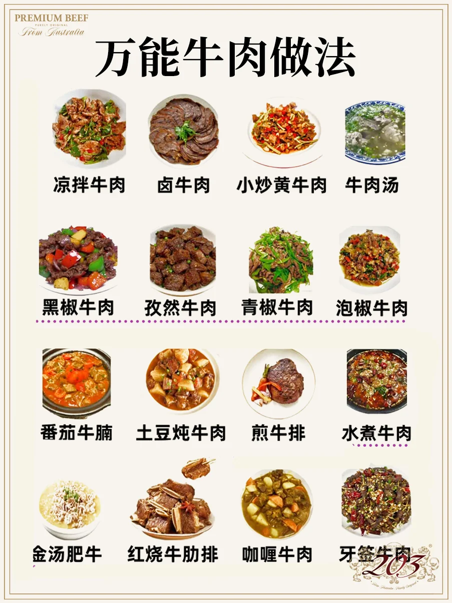 万能牛肉的16种神仙吃法，?一口入魂！