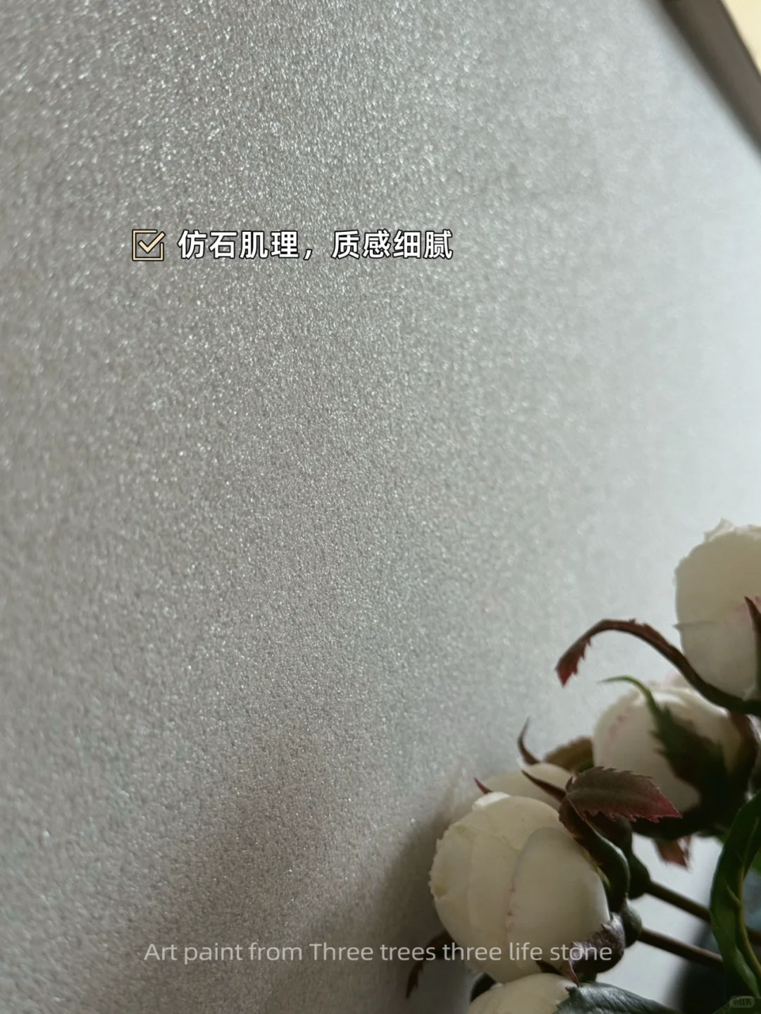 拒绝发霉⚠️墙面翻新材料认准它❗