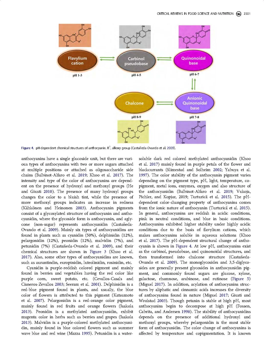 花青素着色剂及在pH响应变色指示膜中的应用