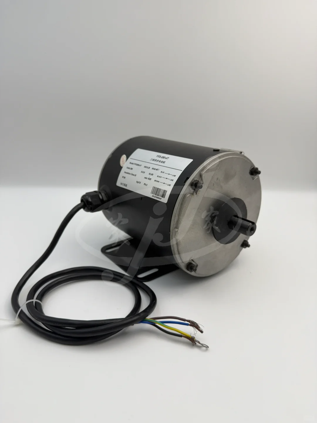 -归国电机主理人-