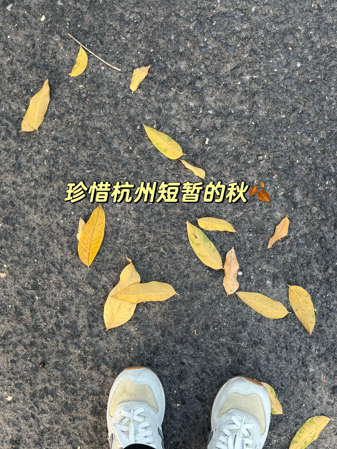 实验员日常|实验室新设备到货,下班吃火锅