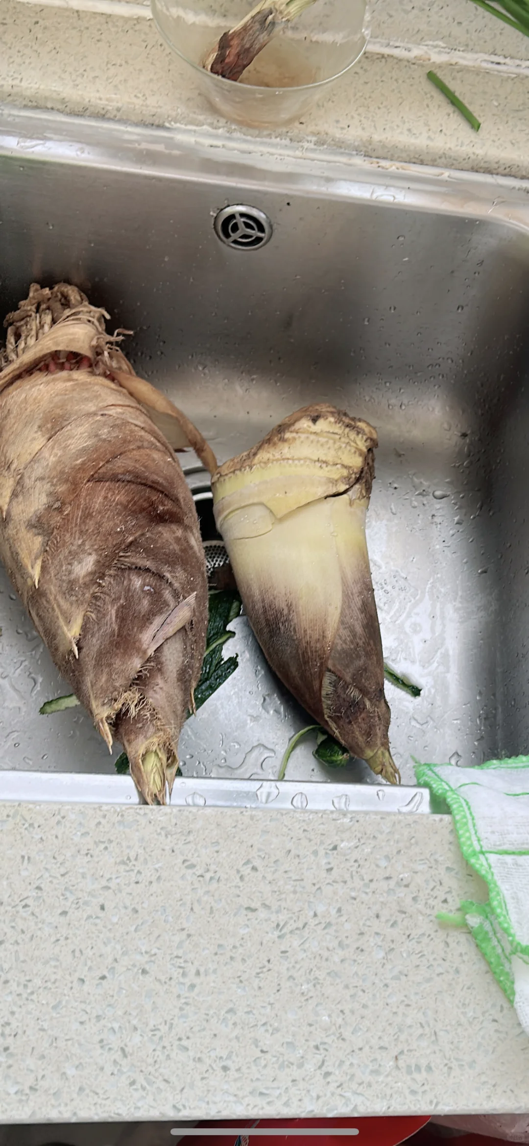 三棵树12级防霉就是笑话