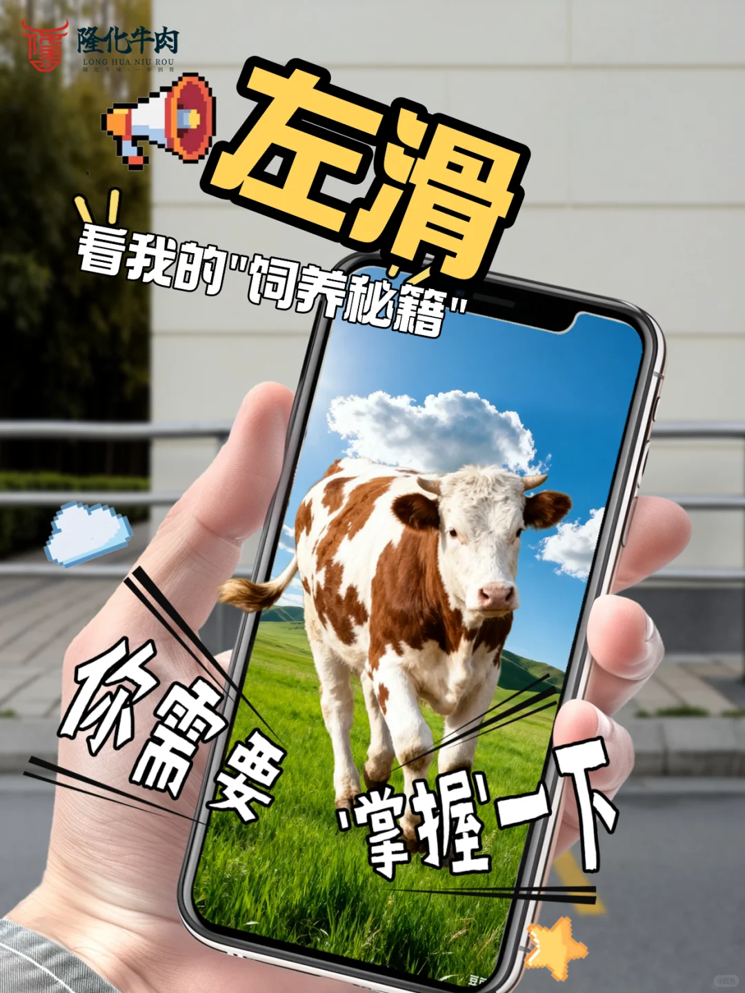 左滑，看隆化牛肉的