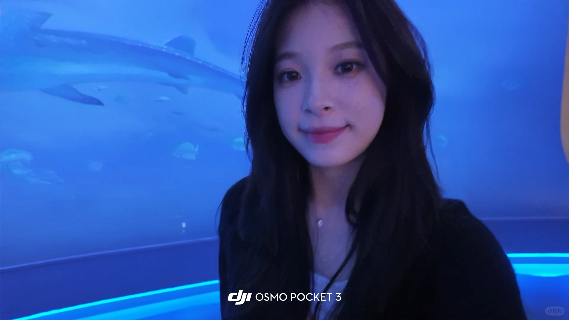 佳能R50人像VS大疆pocket3人像