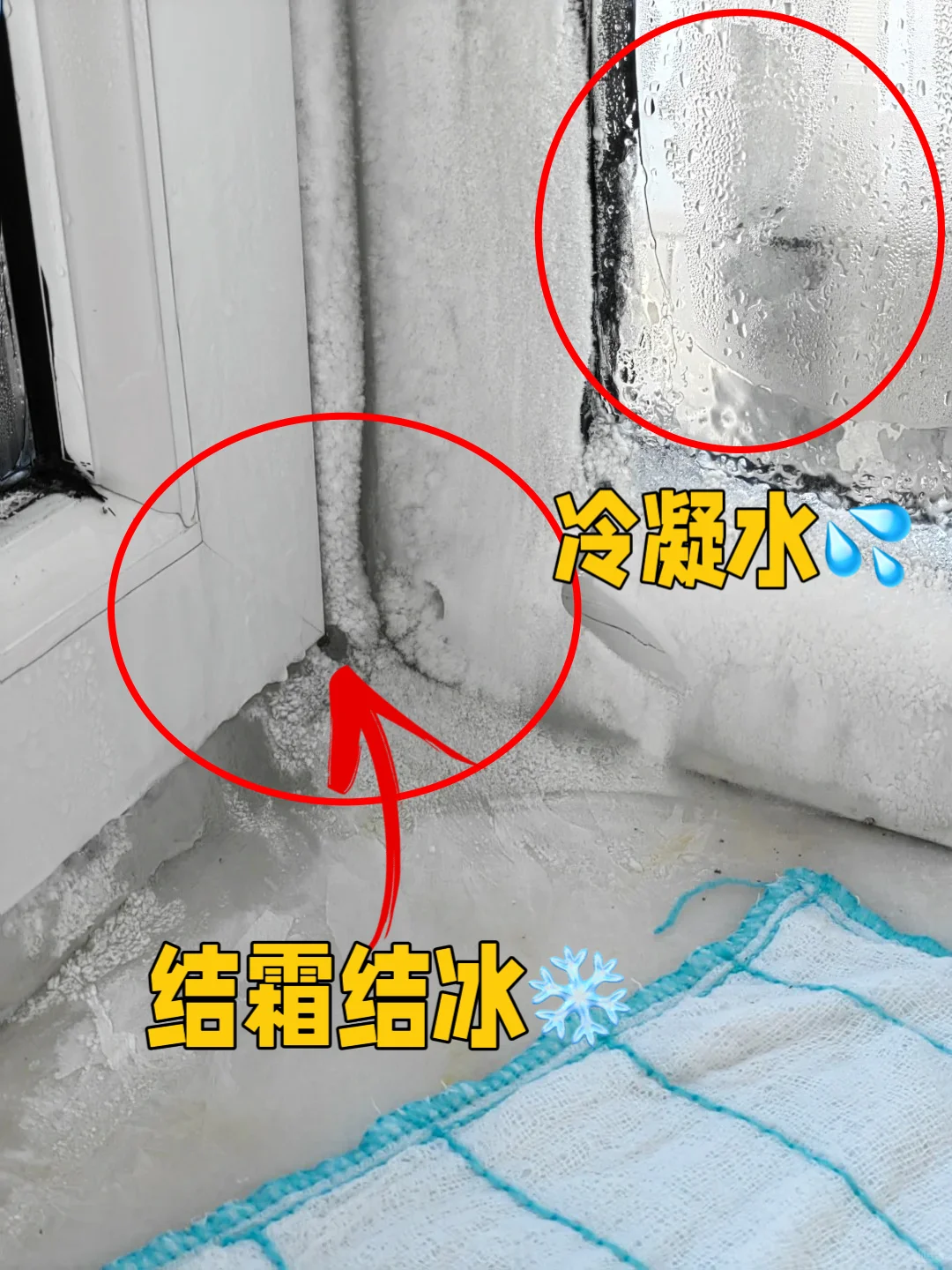 北方别装断桥铝窗⁉️冬天窗户好多冷凝水结冰