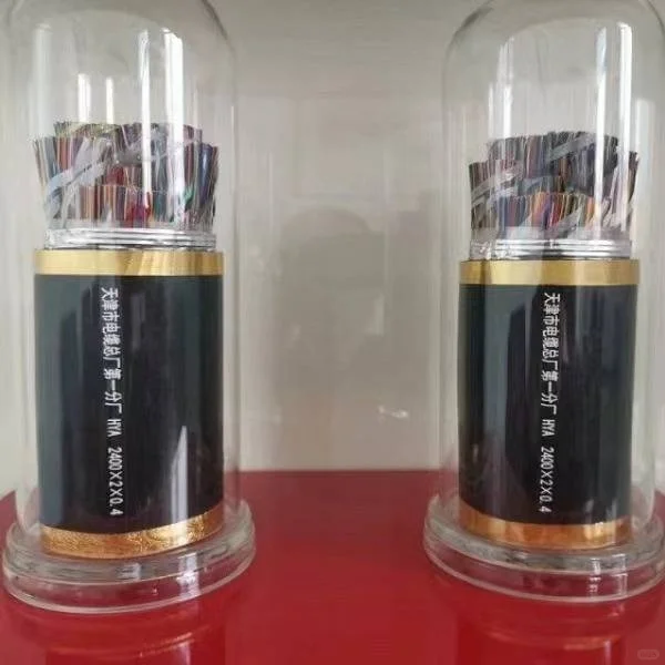 WDZC-HYAT 20*2*0.4通